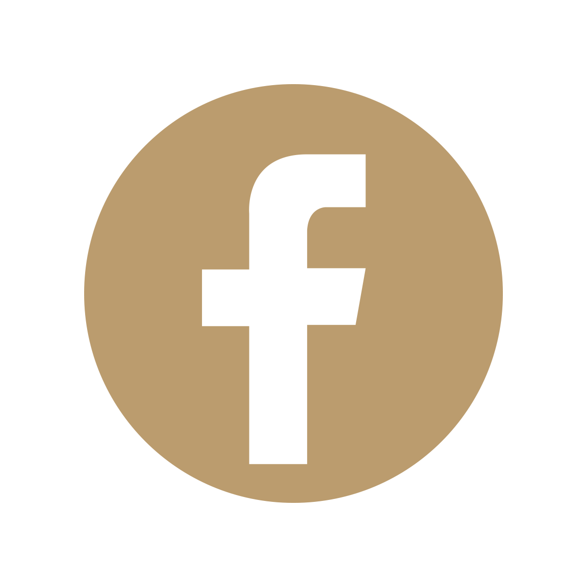 Facebook Icon White